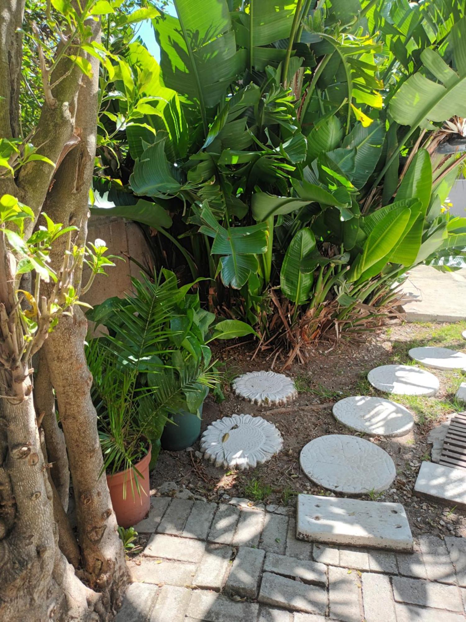 Self Catering Unit 7, Sandbaai هيرمانوس الغرفة الصورة